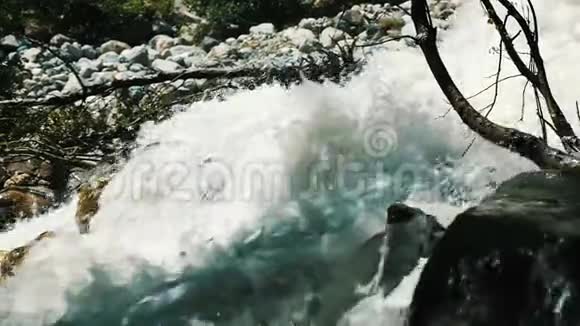 山河的水流沿着森林缓慢流动视频的预览图