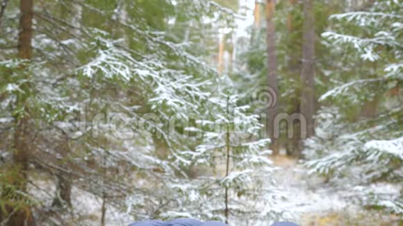 年轻女子在冬天的森林里练习普拉提视频的预览图