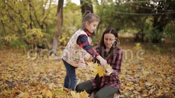小女孩用耙子帮妈妈清理院子里的黄叶视频的预览图