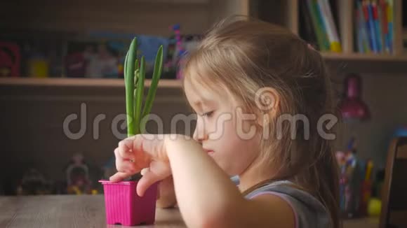 漂亮的年轻女孩看着盆栽表情周到人园艺花卉种植理念视频的预览图