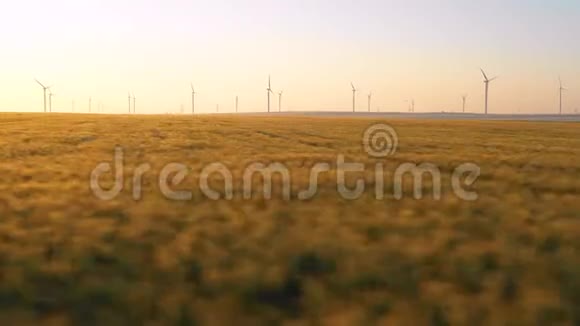 空中观景飞近在广袤的黄色麦田之上绿色麦田在运动与风力涡轮机的背景风力发电视频的预览图