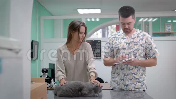 在兽医诊所的接待处考试时一只灰色的猫视频的预览图