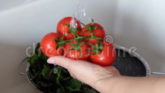 女人洗新鲜的有机番茄视频的预览图