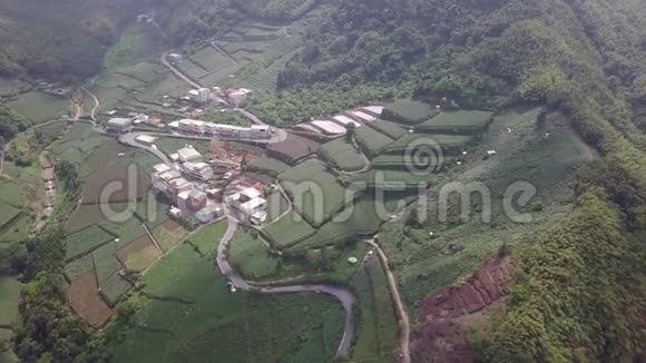 台湾阿里山地区茶园聚落鸟瞰图视频的预览图