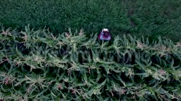 农民用平板电脑监控玉米作物视频的预览图