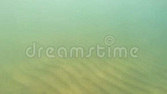 水下摄影海底沙质海水视频的预览图
