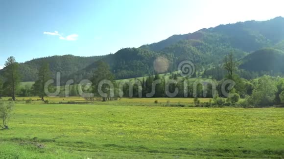 山区一览众山一片绿油油的草地上有花有树视频的预览图