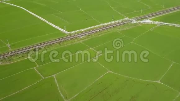空中拍摄稻田和铁路在村庄亚洲农村绿色水稻种植空中观景工人视频的预览图
