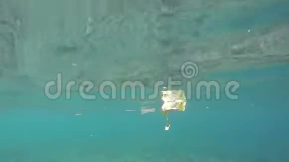 垃圾漂浮在水下生态灾难污染灾难视频的预览图