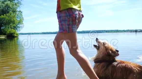 小女孩在河边和狗玩耍视频的预览图