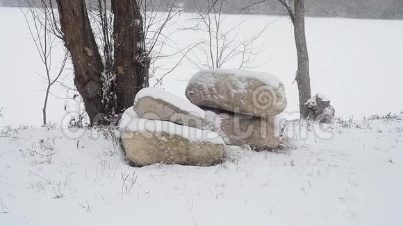 冬天的风景雪中有石头视频的预览图