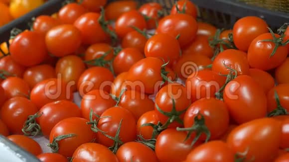 一个男人选择市场上的樱桃番茄购买特写番茄慢莫视频的预览图