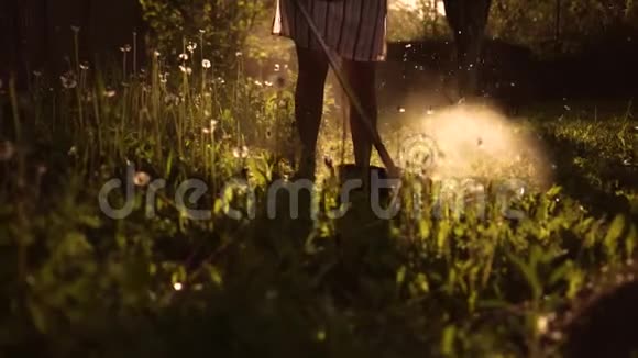一位年长的女农夫在日落时分割草视频的预览图