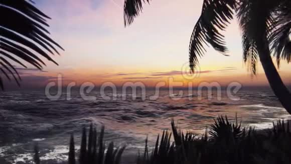日落时风中棕榈树和热带植物的枝条美丽的夏天循环背景视频的预览图