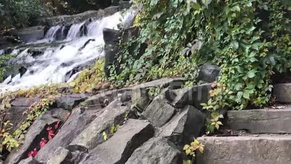 靠近水流过一个小瀑布视频的预览图