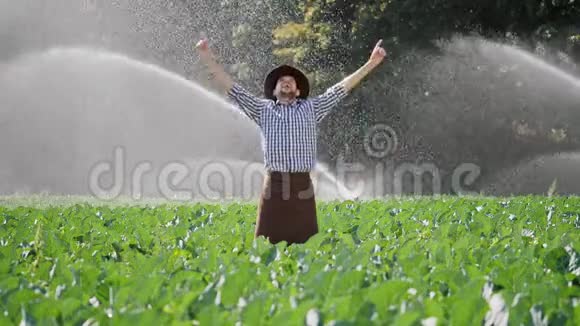 拉默站在种植园里举起双手快乐的农夫享受成功视频的预览图