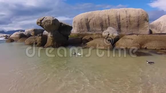 南非博尔德海滩视频的预览图