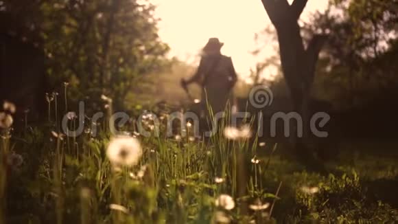 一位年长的女农夫在日落时分割草视频的预览图