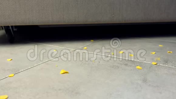 玉米片碎屑掉落到沙发旁边的地板上灰色瓷砖上的地板上有玉米片视频的预览图