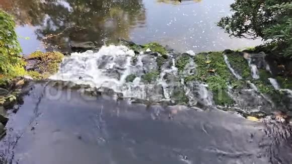 靠近水流过一个小瀑布视频的预览图