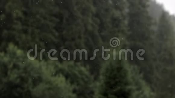 冬天雨落在森林树上雾在山上移动视频的预览图