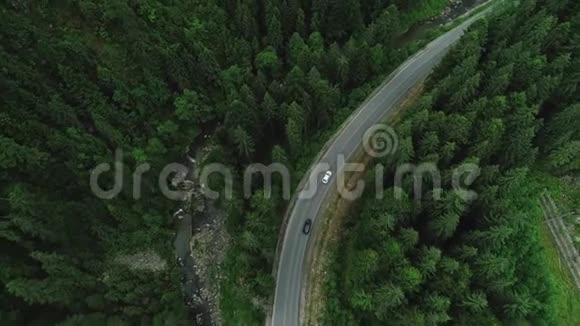 两辆车在树林里的山路上经过视频的预览图