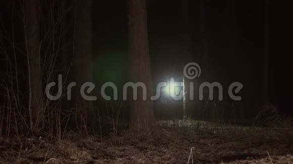 女孩带着灯笼穿过黑暗的森林视频的预览图
