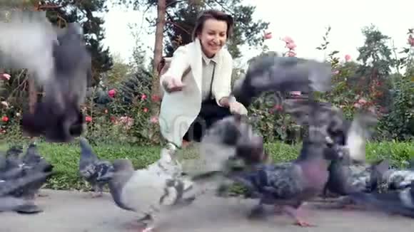 年轻漂亮的女孩在公园里喂鸽子一群鸟在吃面包视频的预览图