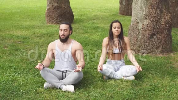 年轻夫妇在户外做瑜伽视频的预览图