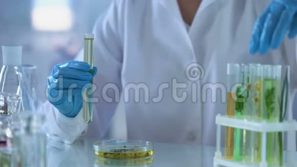 实验室工作人员灌注化学液体草药管香水提取物美容视频的预览图