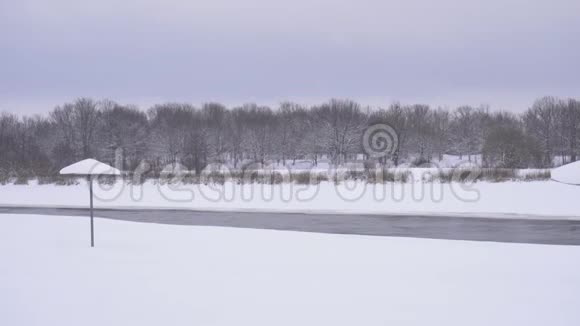 冬天空旷的海滩在雪地里在森林的背景下复制空间水视频的预览图