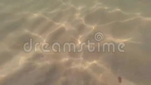 海床视频的预览图