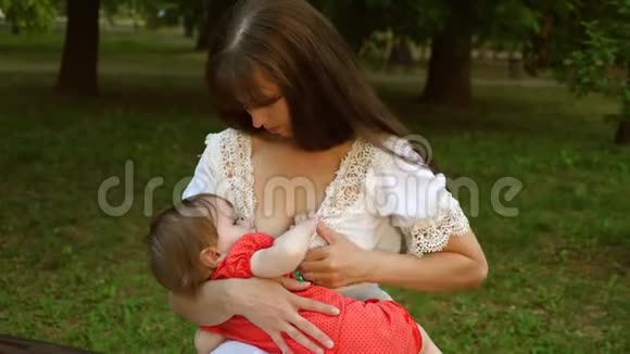 年轻的妈妈坐在公园的长凳上给她的婴儿喂奶微笑着视频的预览图