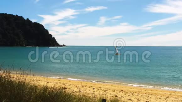 新西兰金湾托塔拉尼海滩视频的预览图