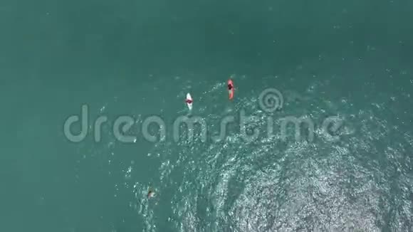 海上冲浪者训练的空中射击视频的预览图