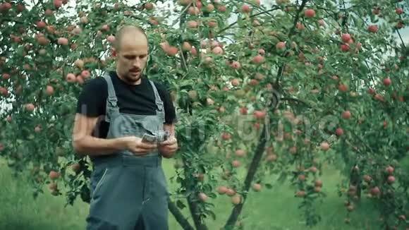 苹果农夫很乐意赚钱视频的预览图