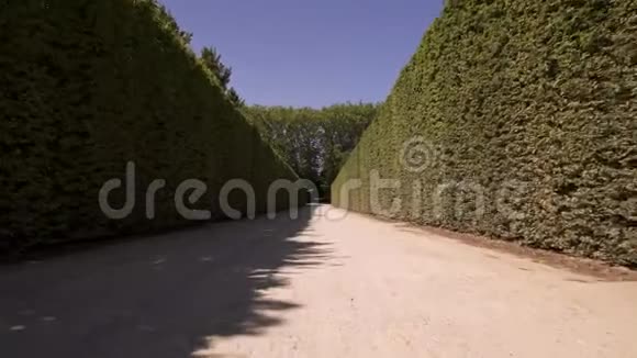 春天晴天凡尔赛花园小巷的低角度跟踪拍摄视频的预览图
