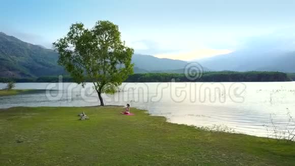 女人坐在大树旁的绿湖畔视频的预览图
