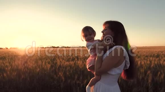 带着小宝宝的女人在一片麦田里金色的夕阳背景下去笑慢动作视频的预览图