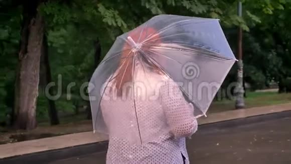 戴着眼镜的胖姜姑娘在雨天的公园里撑着伞上路视频的预览图