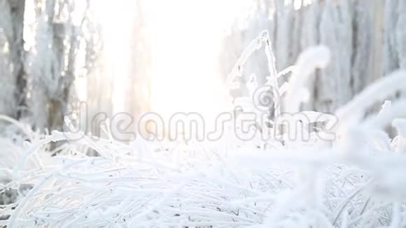 城市里霜冻的早晨视频的预览图