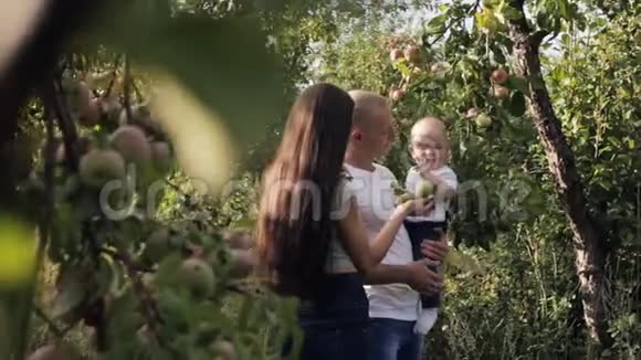 幸福的家庭走过苹果园视频的预览图