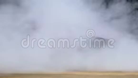 甜菜根花园甜菜被烟雾或蒸汽从一侧吹出在缓慢地克鲁塞上升视频的预览图