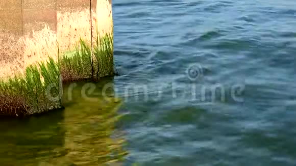 生锈的防波堤平静的水和晴朗的天气视频的预览图