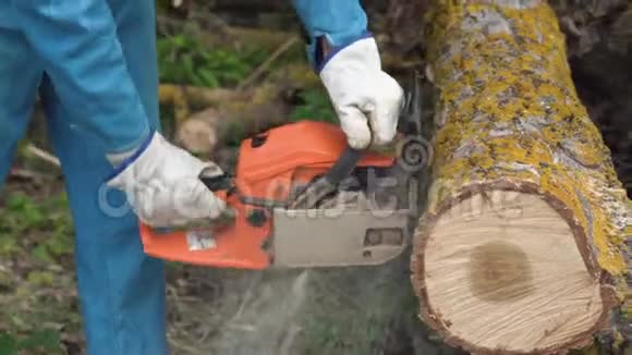 伐木工人在防护用具上用电锯在森林中砍柴用木材树视频的预览图