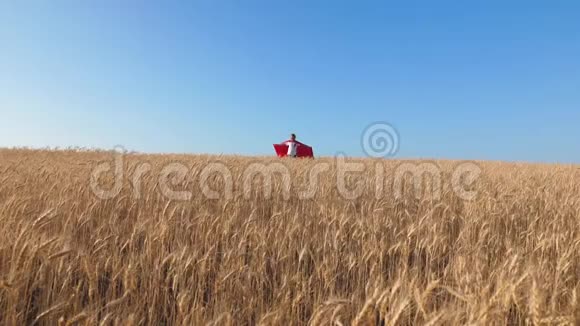 超级英雄女孩跑过田野小麦对抗蓝天和微笑慢动作视频的预览图