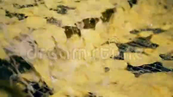 马铃薯碎片在油中沿着运输体移动视频的预览图
