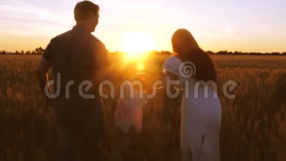 孩子和他的父母在金色的夕阳下带着小麦走在田野上慢动作视频的预览图