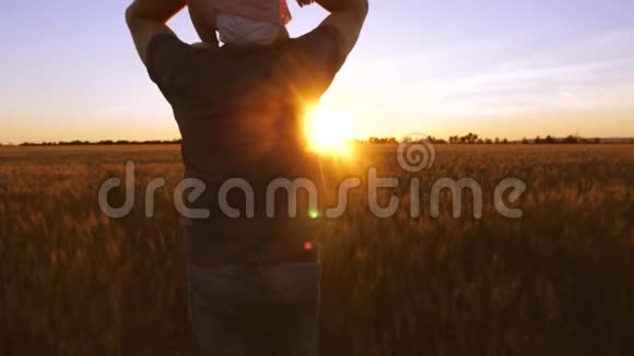 爸爸带着一个小婴儿在他的肩膀上背景是金色的日落在一片麦田视频的预览图