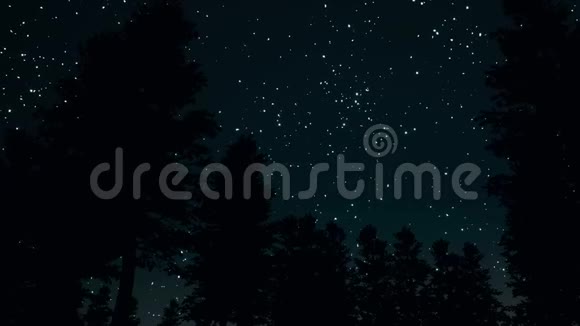 森林3D现实镜头中夜空晴朗的星空视频的预览图